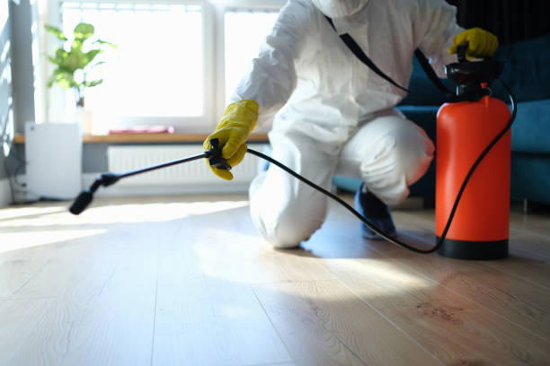 Reliable Infectious Disease Decontamination contractor in Arnold, CA by Crime Scene Cleaner Online